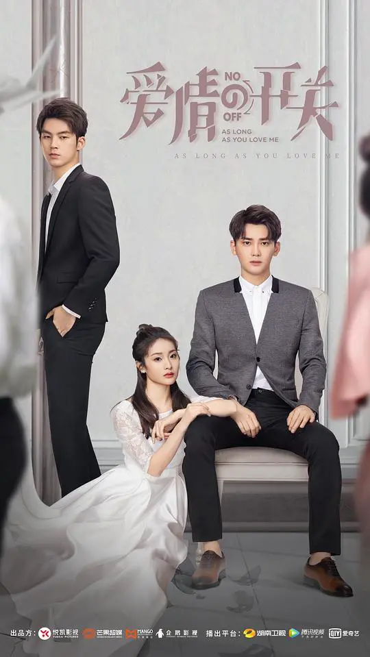 爱情的开关网络版 海报