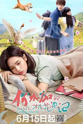 逃离都市？《何加加的桃花源记》：一部治愈系田园喜剧，笑中带泪的反思