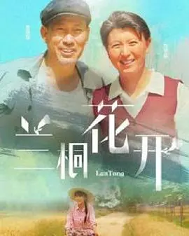 《兰桐花开》：青春的诗意绽放，温暖治愈的乡村成长记