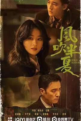 《风吹半夏》：野蛮生长与时代洪流中的女性独立奋斗史