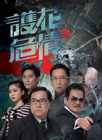 《护花危情》：都市情感纠葛中的救赎与新生，一场关于爱与勇气的治愈之旅